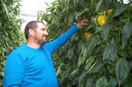 Este agricultor quedó encantado con la calidad de fruta de Prometeo.