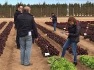 Los asistentes a la jornada de campo se interesaron mucho por cada una de las variedades y sus características