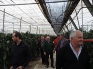 Las jornadas concluyeron en una finca ubicada en Cortijos de Marín.