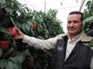 A este agricultor le gustaron, y mucho, las nuevas variedades de la multinacional de semillas.