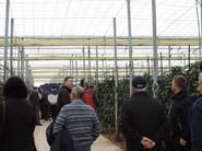 Estas jornadas de campo causaron una gran expectación.