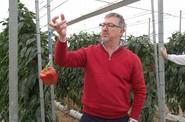 Alberto Domingo, delegado de Almería Poniente - Este, muestra el peso medio que tienen los frutos de estas variedades.