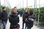 Técnicos de campo en la visita a un invernadero de Balanegra.
