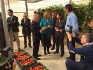 El tomate, uno de los productos estrella de la provincia, ha sido protagonista de la visita.