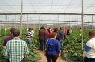 La última de las fincas visitadas está ubicada en La Mojonera.