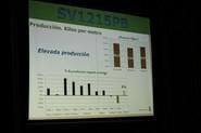 Con gráficas, el equipo de Seminis ha demostrado la diferencia positiva entre sus pimientos y los de la competencia.