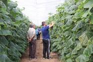 Dos agricultores durante la visita de campo.