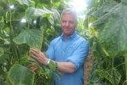Manuel Martínez López, técnico y comercial de zona de Seminis-Monsanto mostrando el pepino tardío 091.