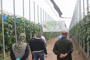 Un momento de la visita de un grupo de agricultores.