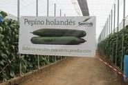 Cartel informativo.