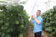 Manuel Martínez, técnico comercial de zona de Seminis-Monsanto.