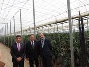 Nicolás Fernández, José Ortiz y Juan Galindo