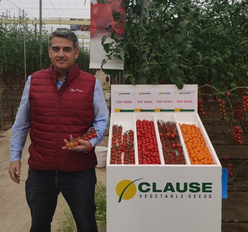 HM.CLAUSE presenta sus novedades en tomate: Zapador, Okami y Góngora