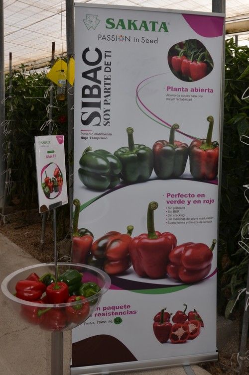 Sibac demuestra su potencial a los agricultores almerienses