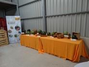 Bodegón con todas las variedades de la jornada de campo