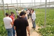 Manuel Fernández, delegado técnico comercial de HM Clause, dio unas pinceladas a los agricultores sobre la variedad.