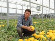 José Luis Ruipérez junto a la variedad de melón amarillo 34-186 RZ.