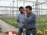 José Luis Ruipérez comprobando los grados brix de estas variedades de melón junto con uno de los agricultores