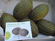Mesura RZ, el melón piel de sapo temprano con más sabor