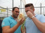 Con la lupa que regaló RZ, los agricultores pueden ver mejor los detalles del fruto