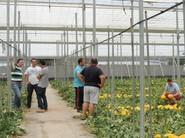 Los productores intercambiaron opiniones y mostraron su satisfacción por ambas variedades