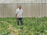 Este agricultor se adentra en la plantación para verla mejor