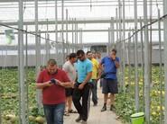 Durante toda la mañana fueron pasando agricultores de varias zonas del Poniente almeriense para ver, in situ, el melón negro y amarillo de RZ