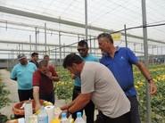 Los agricultores tuvieron la ocasión de probar ambas variedades de melón en campo