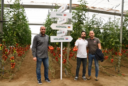 Fitó celebra su 'Tomate Xperience' impulsando una larga vida al sabor tradicional de este cultivo