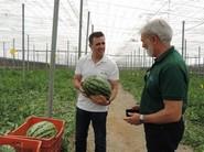 Paco González, delegado de Andalucía occidental de Intersemillas, explicando las bondades de la sandía rayada