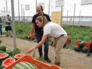 María Escudero, delegada técnico comercial de Intersemillas para Almería, Granada y Málaga, mostrando las variedades a un asistente a la jornada