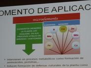 Elementos menores para la planta