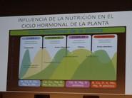 Influencia de la nutrición en el ciclo hormonal de la planta