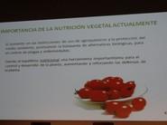 La importancia de la nutrición vegetal