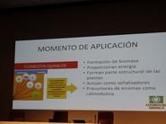Momento de aplicación