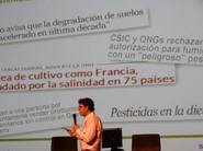 Luis Martín Garvayo, responsable del porfolio de hortícolas de Syngenta.