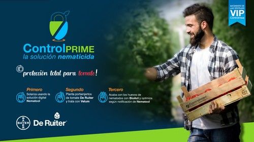 Bayer presenta Controlprime, la solución nematicida en tomate