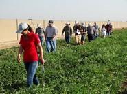 Paseos por los lineales de cultivo