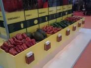 Stand con muchas de las variedades de Semillas Fitó.