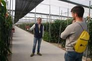 Manuel Fernández, delegado técnico comercial de la empresa, mostró las variedades más tempranas a los agricultores interesados.