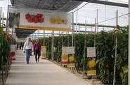 Técnicos y comerciales de la empresa han atendido a agricultores y grupos de agricultores de forma casi personalizada.