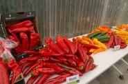 Muchas de sus variedades de pimiento tipo kapia.