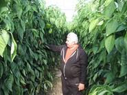 Un agricultor durante las jornadas.