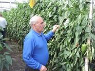 Los agricultores son verdaderos expertos en cultivos.