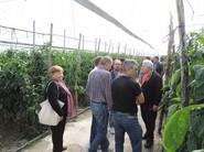 Corrillo de agricultores.