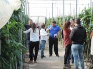 Las comerciales de Seminis resolvieron en todo momento las dudas de los agricultores.