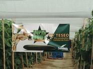 Teseo, de Seminis.