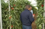 David González comparte impresiones con los agricultores.