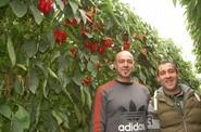 Abraham Góngora y José Francisco Ríspolis fueron los primeros agricultores que apostaron por Abraham, variedad que, de hecho, lleva el nombre del primero de ellos.