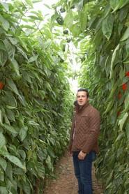 José Juan Gutiérrez, concejal de Agricultura de Dalías, participó en las visitas.